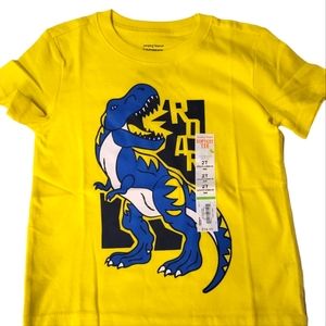 Toddler Boy 2T T-rex Dinosaur 🦕 Tshirt NWT